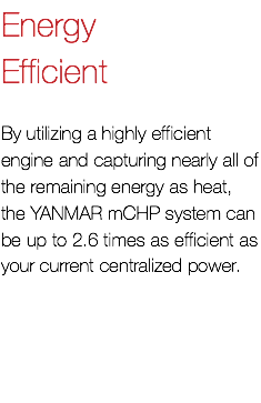 Energy Efficient By utilizing a highly efficient engine and capturing nearly all of the remaining energy as heat, the YANMAR mCHP system can be up to 2.6 times as efficient as your current centralized power.